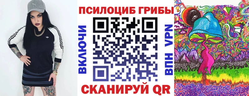 закладки Ухта Псилоцибиновые грибы Magic Shrooms