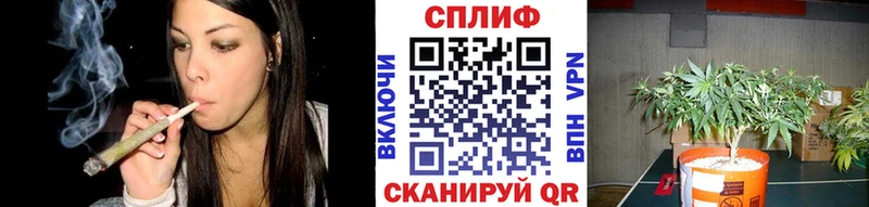 Каннабис марихуана  Ухта 